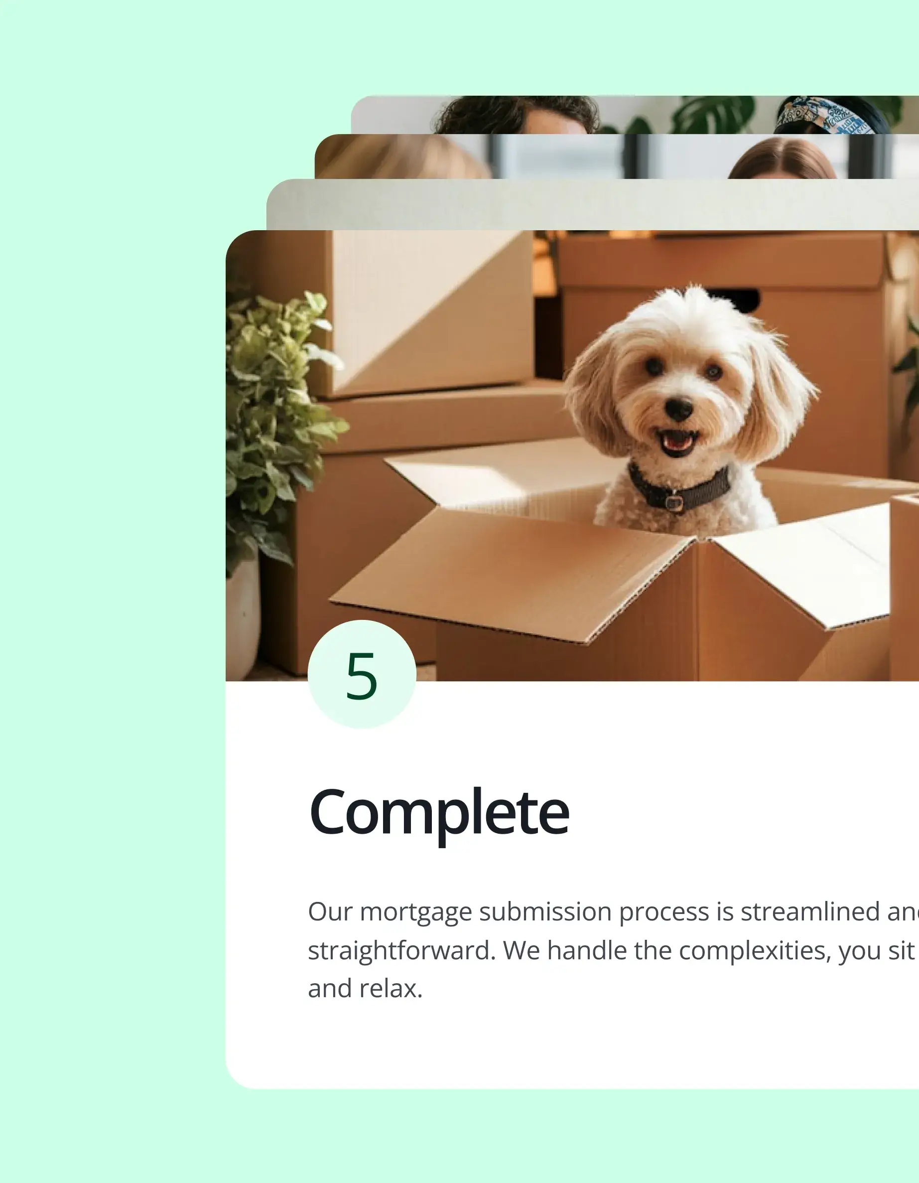 Sherry FitzGerald design system